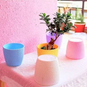 Table Top Plastic Pot for Home-Office from Nursery Nisarga