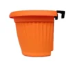 Wall Hanger Multicolored pot online at low price