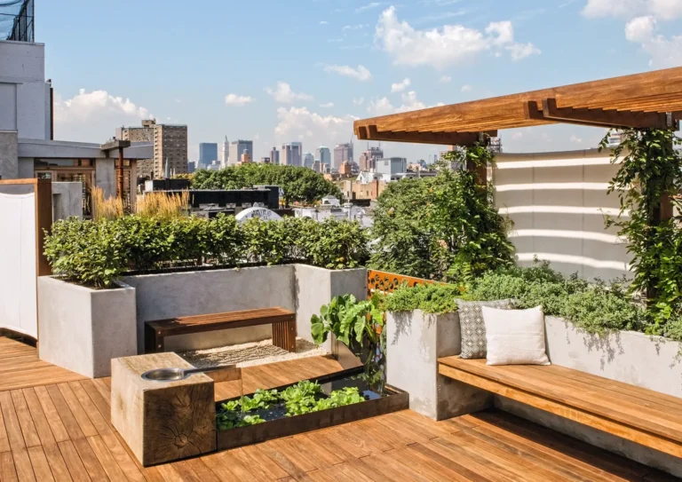 Terracen Gardeing By Nursery Nisarga