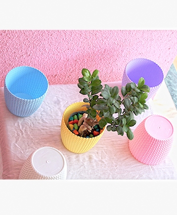 Table Top Plastic Pot for Home-Office 2