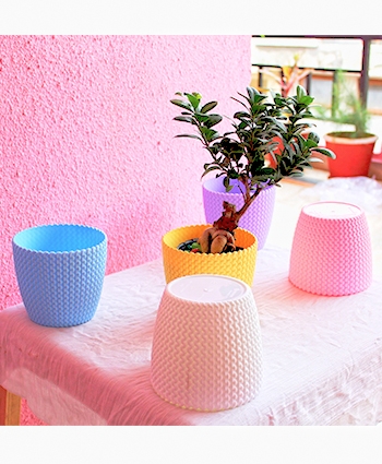 Table Top Plastic Pot for Home-Office