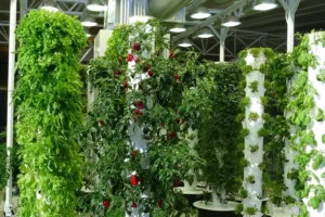 Vertical Tower Garden.