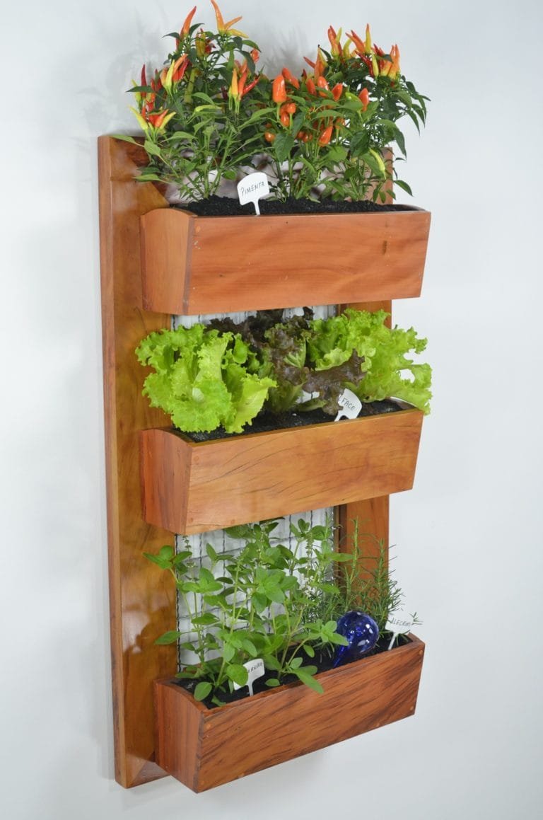 How to do Vertical Gardening