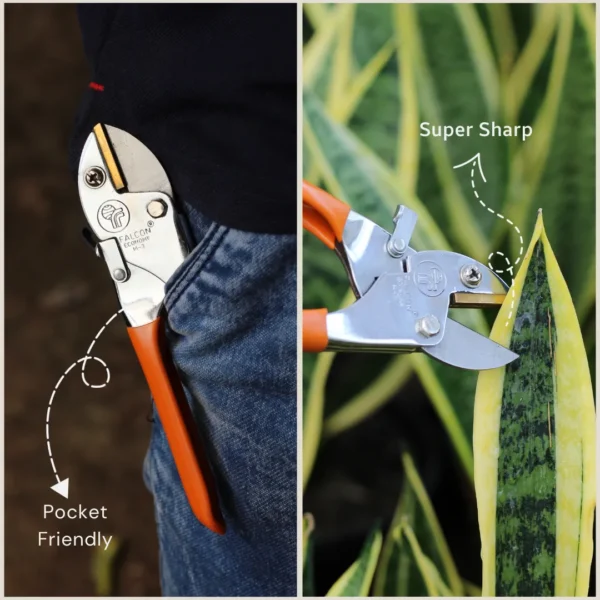 Falcon Pruning secateur for plant cutting
