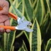 Falcon Pruning secateur for plant cutting