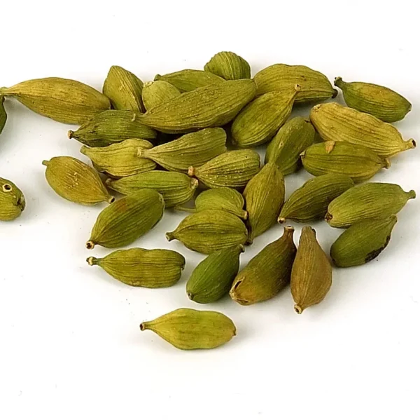 Buy Elaichi Plant - Velchi, True Cardamom from Nursery Nisarga