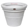 Buy Blossom Tv Pots At Nursery Nisarga