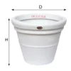 Buy Blossom Tv Pots At Nursery Nisarga