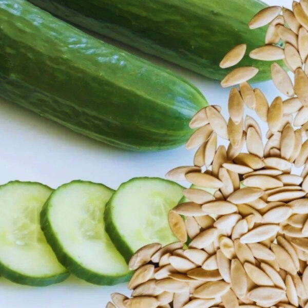 BUY Cucumber, Kakadi Hybrid seeds From nursery nisarga