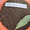 Buy DAP Fertilizer Manure Online at Nuesery Nisarga