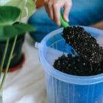 Buy Black Coated Garden Soil for Plants - Nursery Nisarga