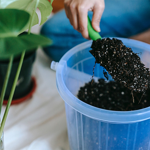 Buy Black Coated Garden Soil for Plants - Nursery Nisarga