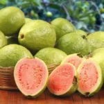 Red Diamond Psidium Guajava (Red Diamond Guava)-Plant from Nursery Nisarga