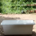 Buy Shera Kitchen Tray for Plants Online at Nursery Nisarga