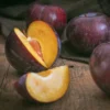 Plum Fruit