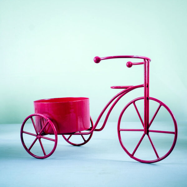 Buy cycle pot online at lowest price on Nursery Nisarga