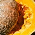Buy Pumpkin seeds , kadu seeds - Nursery Nisarga