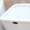 Buy Decora Premium square pot “Code – GC” - online - Nursery Nisarga