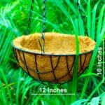 Buy coconut husk hanging basket (Coir) - Nursery Nisarga