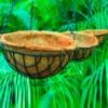 Buy coconut husk hanging basket (Coir) - Nursery Nisarga