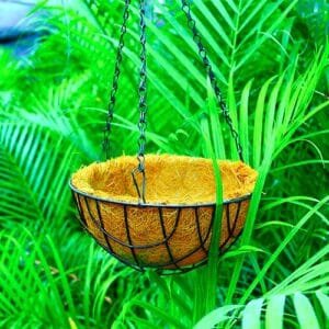 Buy coconut husk hanging basket (Coir) – Nursery Nisarga