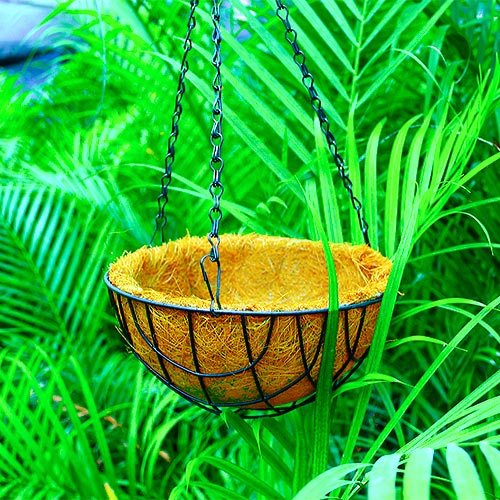 Buy coconut husk hanging basket (Coir) - Nursery Nisarga
