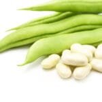 Buy French Beans Seeds - Nursery Nisarga