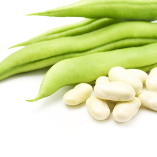 Buy French Beans Seeds - Nursery Nisarga