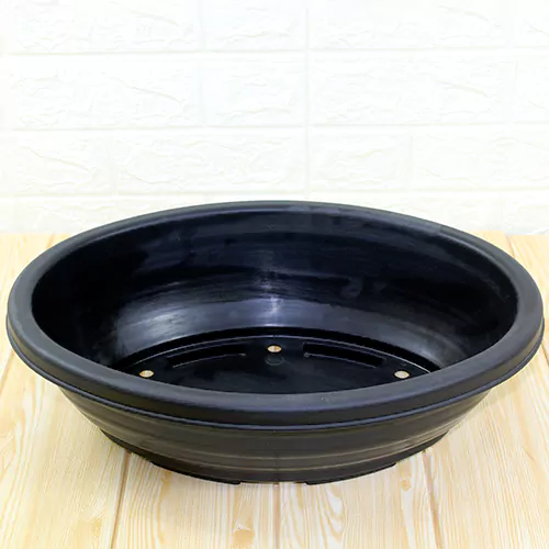 Buy Bonsai Oval Plastic Pot - Nursery Nisarga