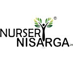 Nursery Nisarga logo