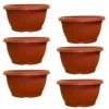 Buy Harshdeep Bello Bowl Planter pot from Nursery Nisarga