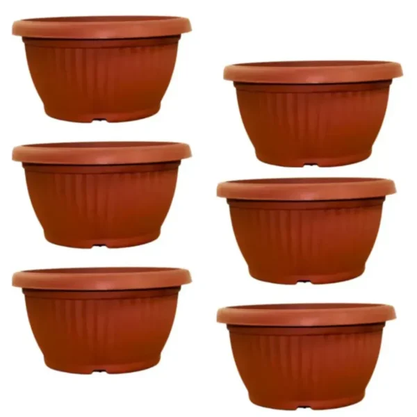 Buy Harshdeep Bello Bowl Planter pot from Nursery Nisarga