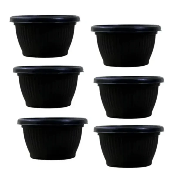 Buy Harshdeep Bello Bowl Planter pot from Nursery Nisarga