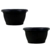 Buy Harshdeep Bello Bowl Planter pot from Nursery Nisarga