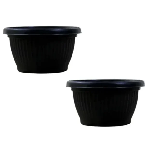 Buy Harshdeep Bello Bowl Planter pot from Nursery Nisarga