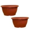Buy Harshdeep Bello Bowl Planter pot from Nursery Nisarga