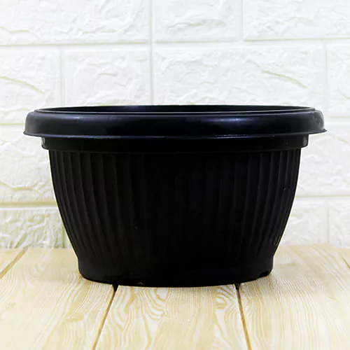 Buy Bonsai Round Shape Plastic Pot Online at Nursery Nisarga
