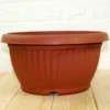 Buy Bonsai Round Shape Plastic Pot Online at Nursery Nisarga