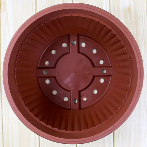 Buy Bonsai Round Shape Plastic Pot Online at Nursery Nisarga