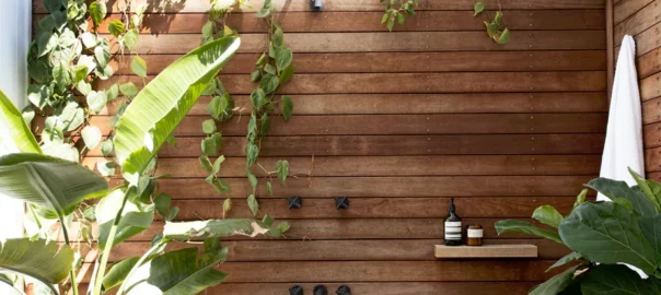 5 Indoor Plant Ideas That'll Surely Love Your Home