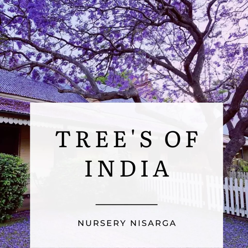 Top 5 most Exciting Flowering Trees that India has to offer!