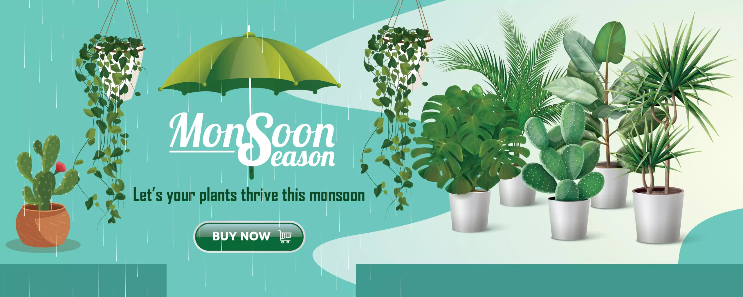Monsoon offer - Best deals on plants - nursery nisarga