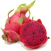 Buy Red Dragon Fruit Plant (Hylocereus undatus) from Nursery Nisarga