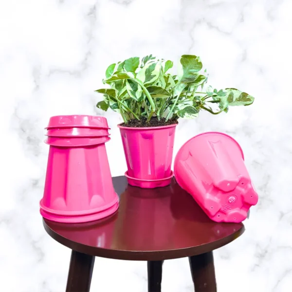 Buy Set of 4, Premium Plastic Pot with Matching Bases Online at Nursery Nisarga