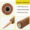 Buy Coco Liner, Coir pole, Plant Supporting Climber Stick Online at Nursery Nisarga