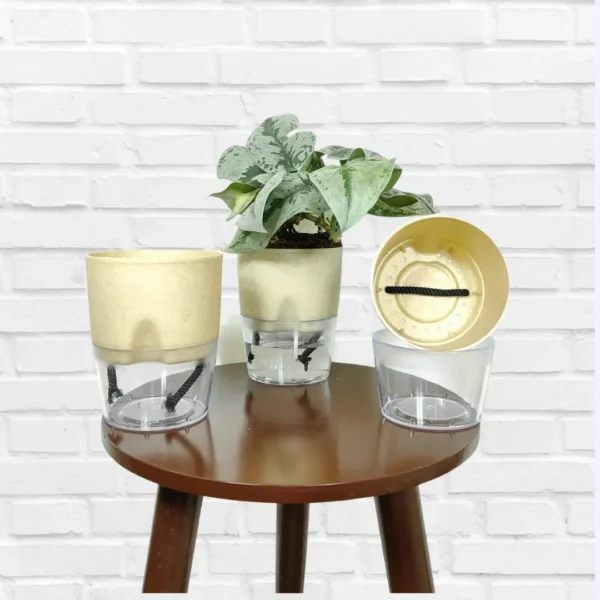 Buy Self Watering Pot - stone gold 4" inch Pot Online at Nursery Nisarga