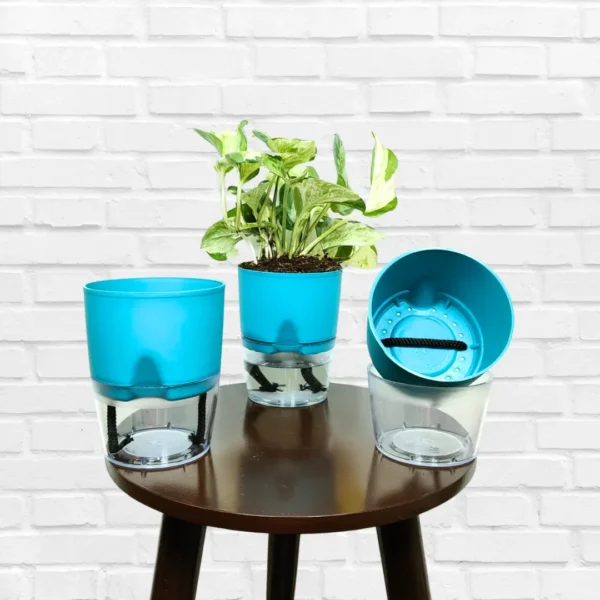 Buy Self Watering Pot - blue 4" inch Pot Online at Nursery Nisarga