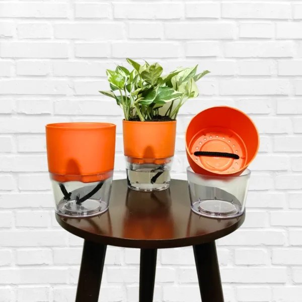 Buy Self Watering Pot - Orange 4" inch Pot Online at Nursery Nisarga