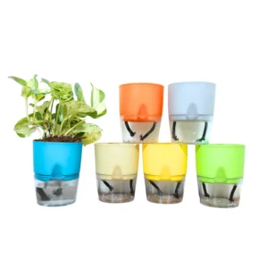 Buy Self Watering Pot - Multicolor 4" inch Pot Online at Nursery Nisarga