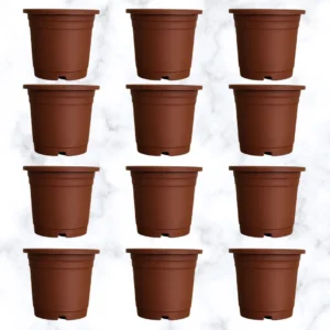 Buy Terracota Gardening Pots (Multiple sizes) Online at Nursery nisarga (4 inch pot)